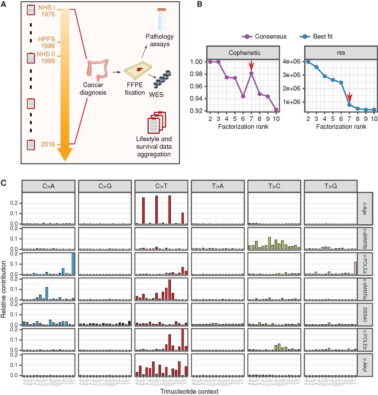 Discovery and features of an alkylating signature in colorectal cancer