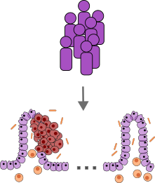 Single analyte profiling of the mutational, immune and microbiome landscape in african american colon cancer patients