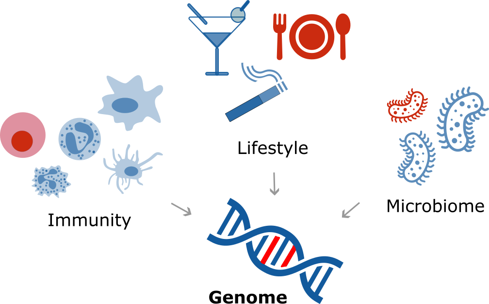 Factors shaping the mutational landscape